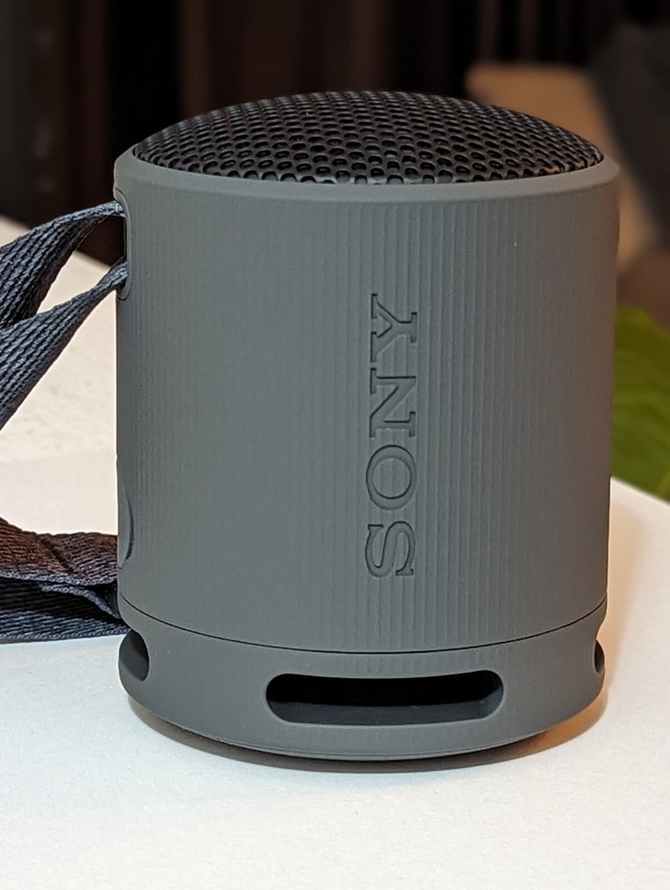 Sony SRS-XB100/B XB100 Portable Bluetooth Speaker Waterproof Black