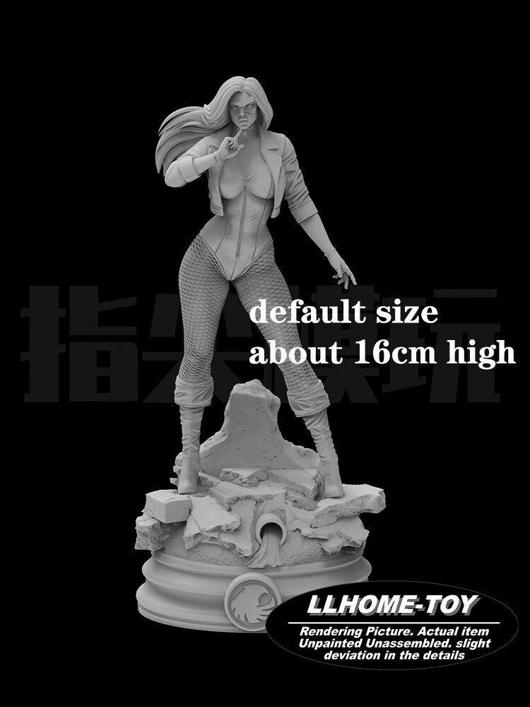 Black Canary Anime Girl Pose Resin 3D Print GK Figure Model Kit