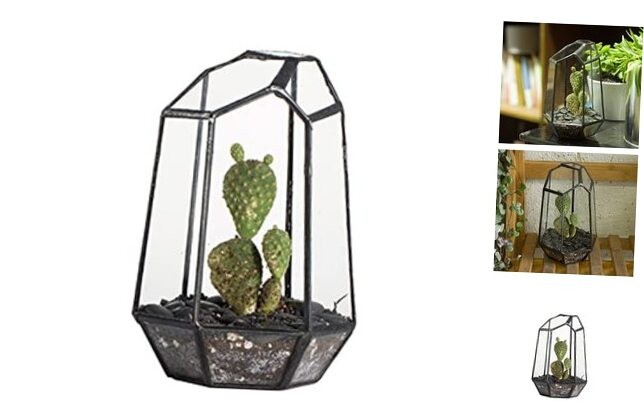 Mini Geometric Glass Terrarium 4.1x3.5x5.9 Inch Irregular Display Case