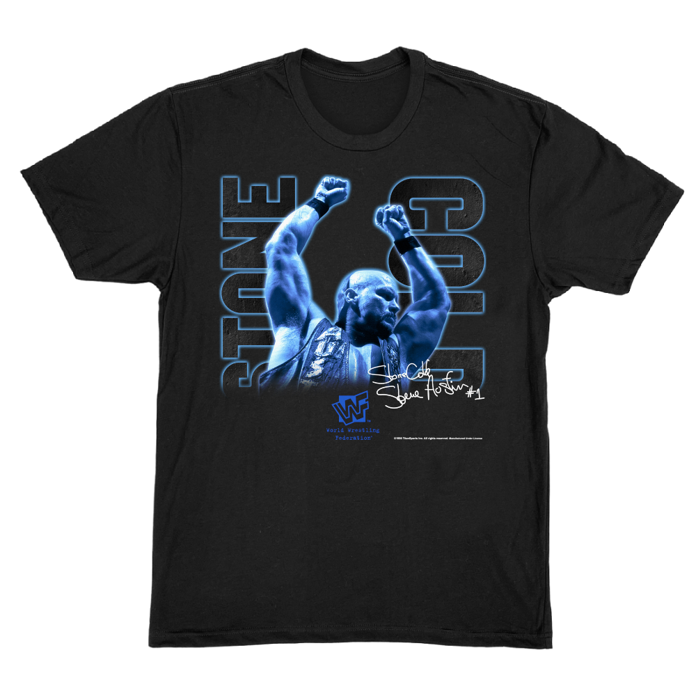 New WWF Superstar Era WWE Logo Stone Cold Steve Austin 3:16 KOTR Shirt S-3XL