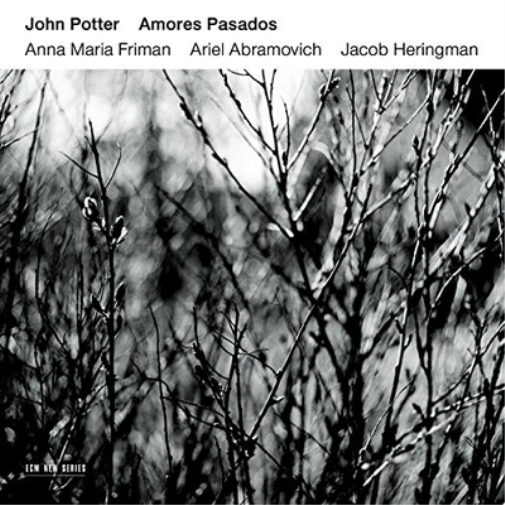 John Paul Jones John Potter: Amores Pasados (CD) Album