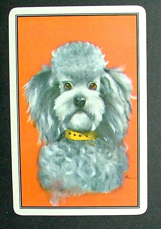 Single Joker Playing Card Featuring Poodle Design AD 324 for Card Swaps