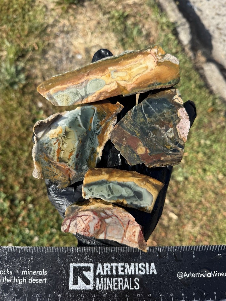 Rare AAA Grade Morrisonite End Cuts Orbicular Picture Jasper Old Stock Oregon-image