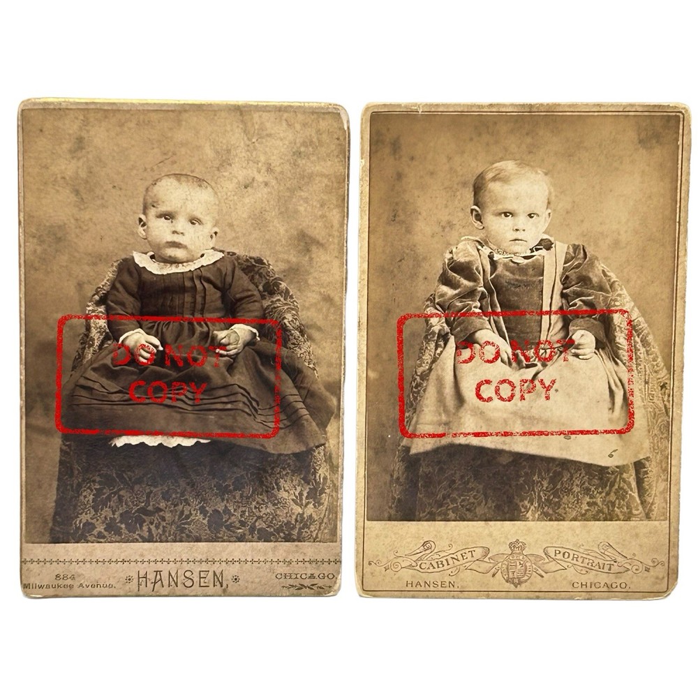 Antique Victorian Cabinet Card Photo Portrait Two Babies Children 1880s Chicago
