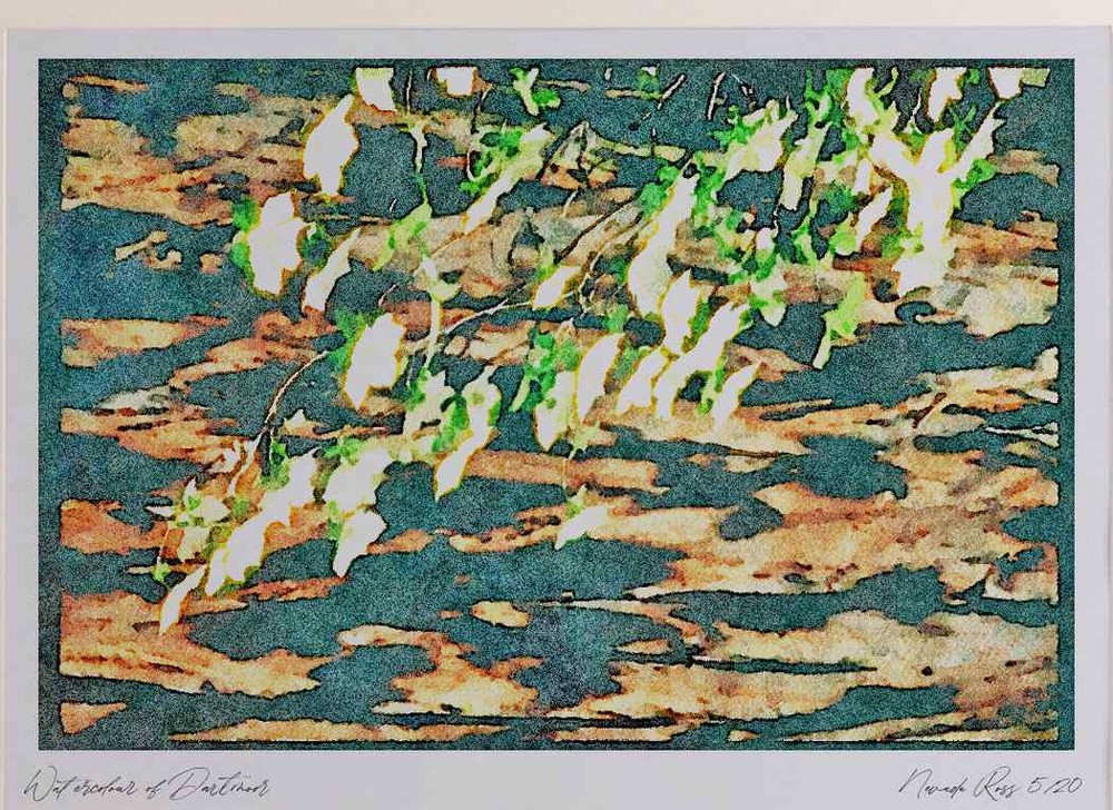 Yosemite Mirror Lake Dogwood Tree A4 Watercolour Art Print