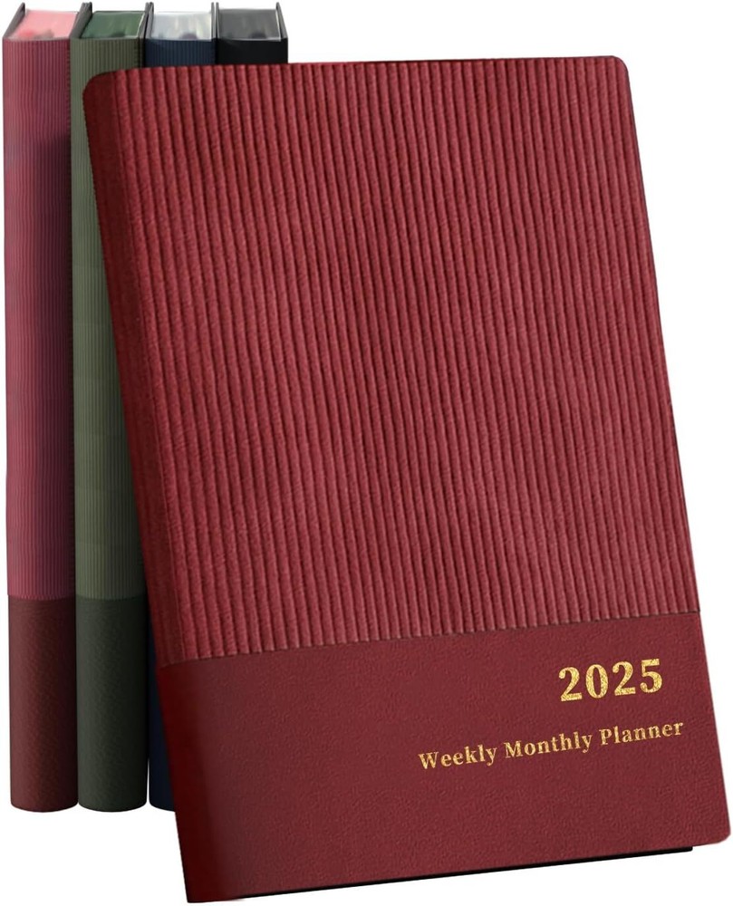 2025 Planner, Weekly Monthly Planner 2025, 8.25