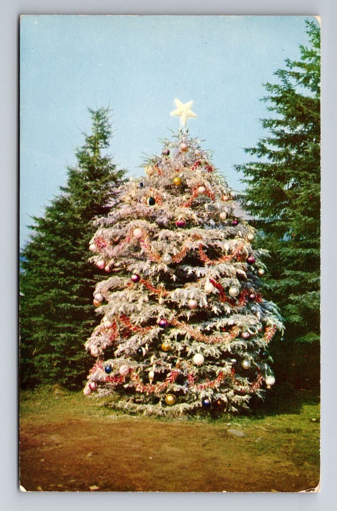 Jefferson NH-New Hampshire, Santa's Village Christmas Tree Vintage Postcard