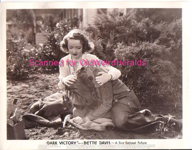 DARK VICTORY MOVIE PHOTO #7 BETTE DAVIS Geraldine Fitzgerald 1939 ORIGINAL 8x10