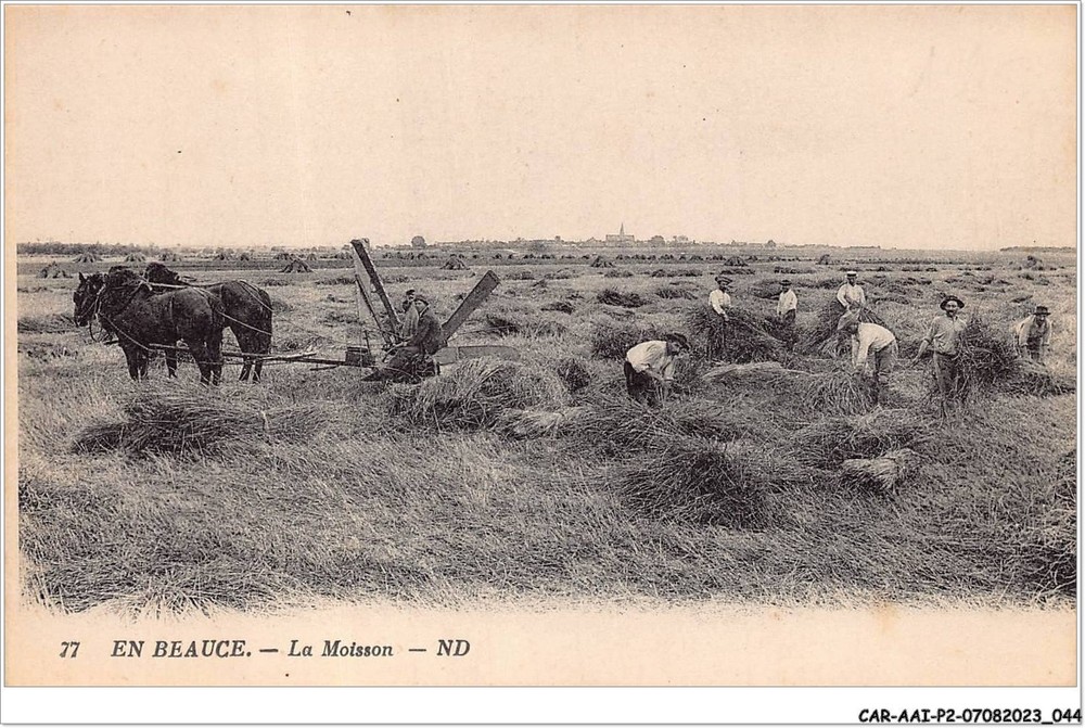 CAR-AAIP2-28-0120 - In Beauce - The Harvest - Agriculture