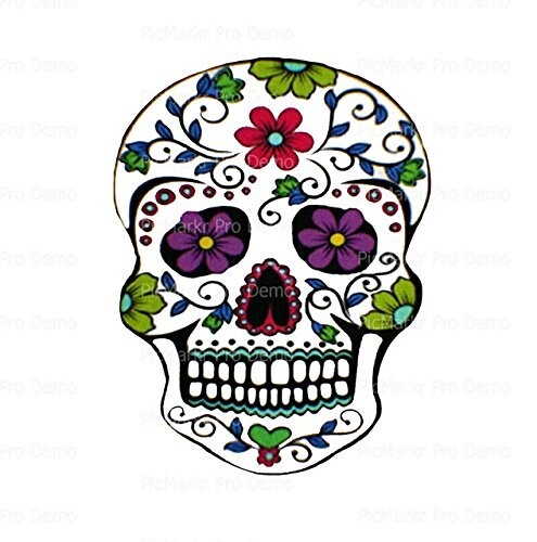 Flower Sugar Skull  8