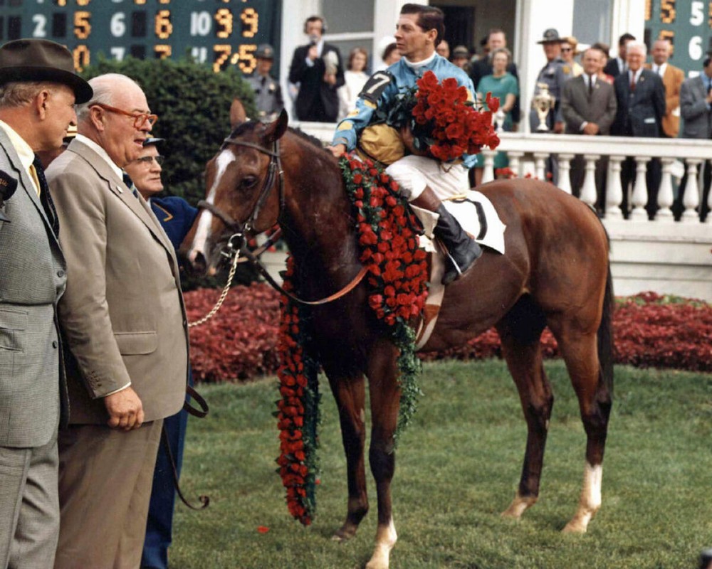 Northern Dancer 1964 Kentucky Derby Winner 8x10 Picture Celebrity Print