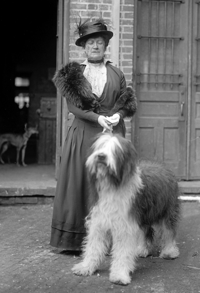 1915 Miss Mary E. Patten at the Dog Show Vintage Old Photo 13