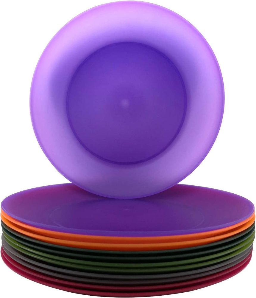 Everyday Dinner Plates Plastic Reusable 10 inch BPA Free Dishwasher Safe Set