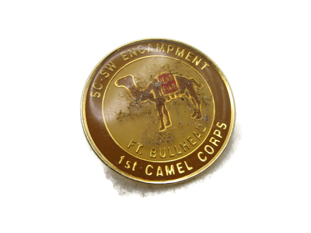 SC-SW Encampment Pin 1st Camel Corps Ft. Bullhead Gold Tone