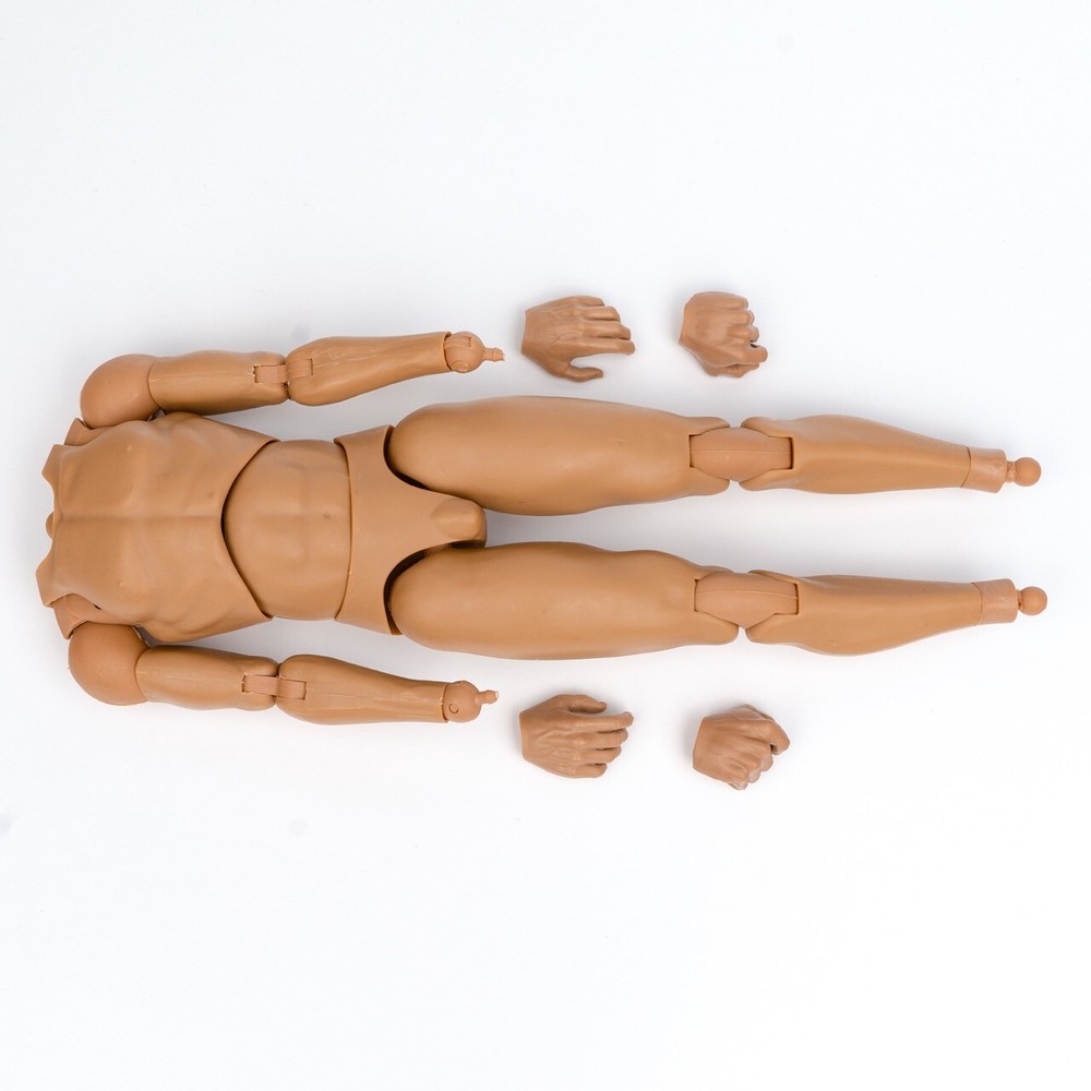 Body & Hands for Warrior Model SN008 1/6 Scale Action Figure