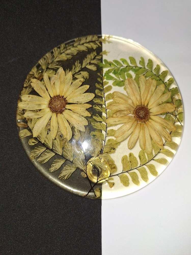 Vintage Lucite (?) Flower Trivet Daisies 5.5” diameter