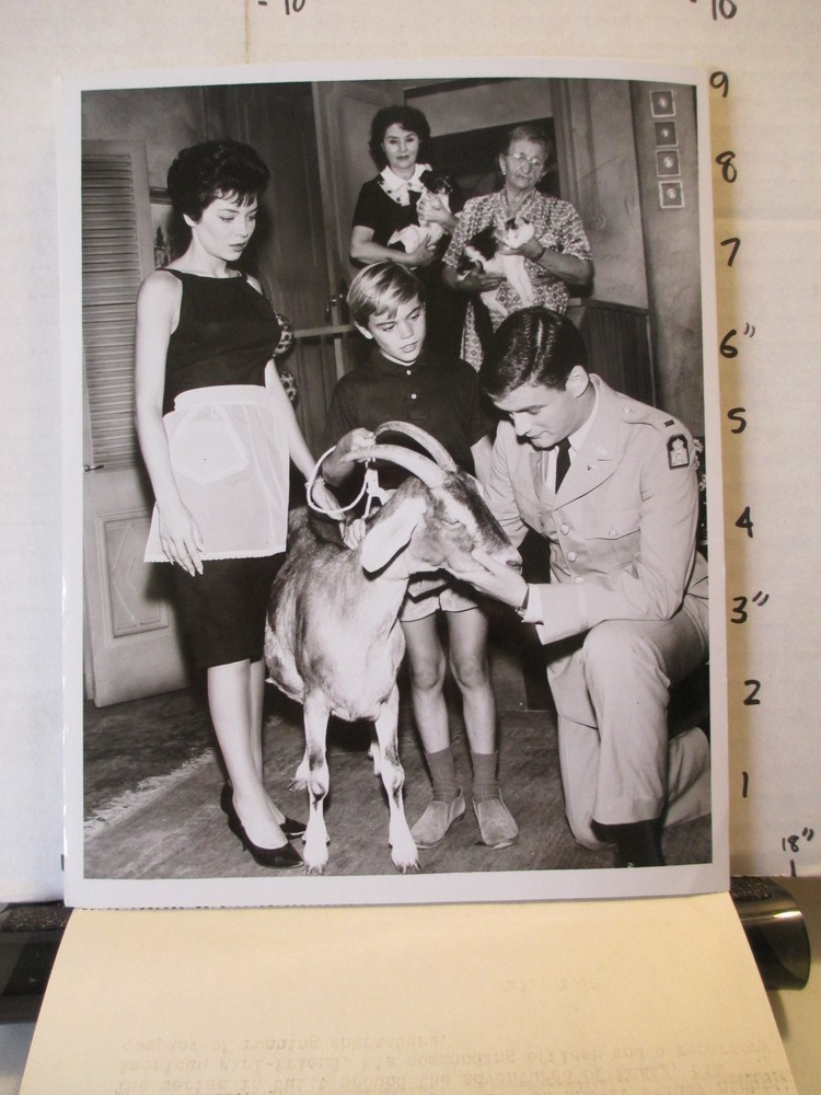 1962 NBC show Don't Call Me Charlie photo with Josh Peine Linda Lawson and goat