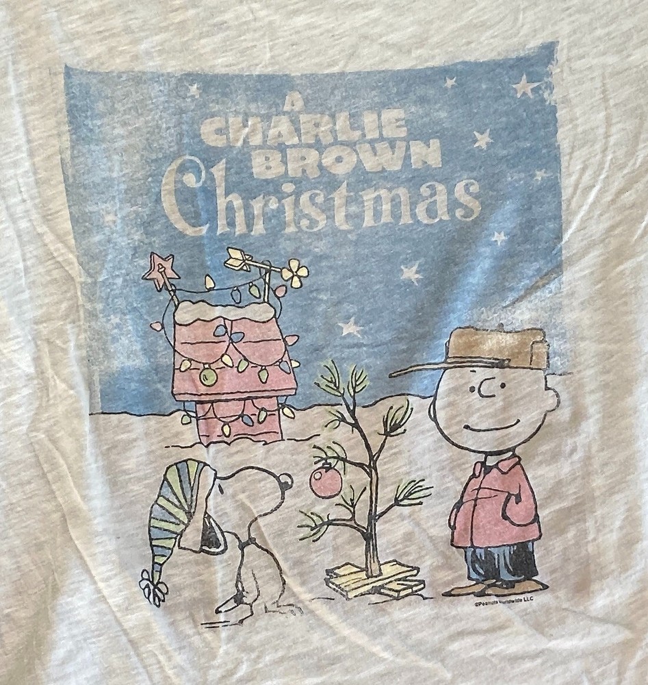 Peanuts Gang Christmas Burnout Tee Mens Medium Abercrombie Fitch T-Shirt-image