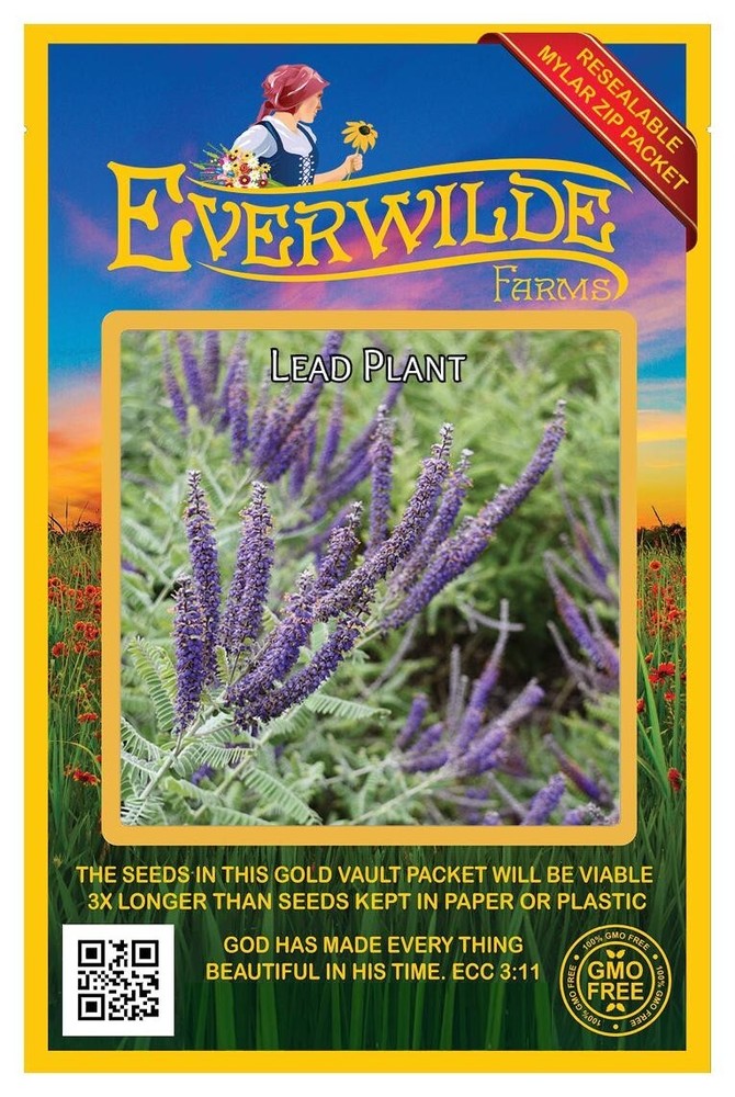 1 Oz Lead Plant Wildflower Seeds - Everwilde Farms Mylar Seed Packet
