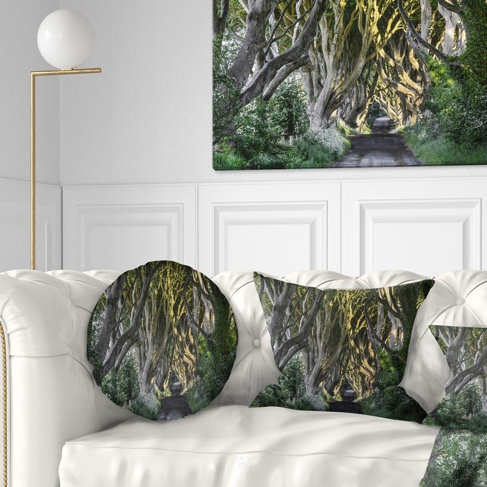 Designart 'The Dark Hedges Ireland Landscape' Photography