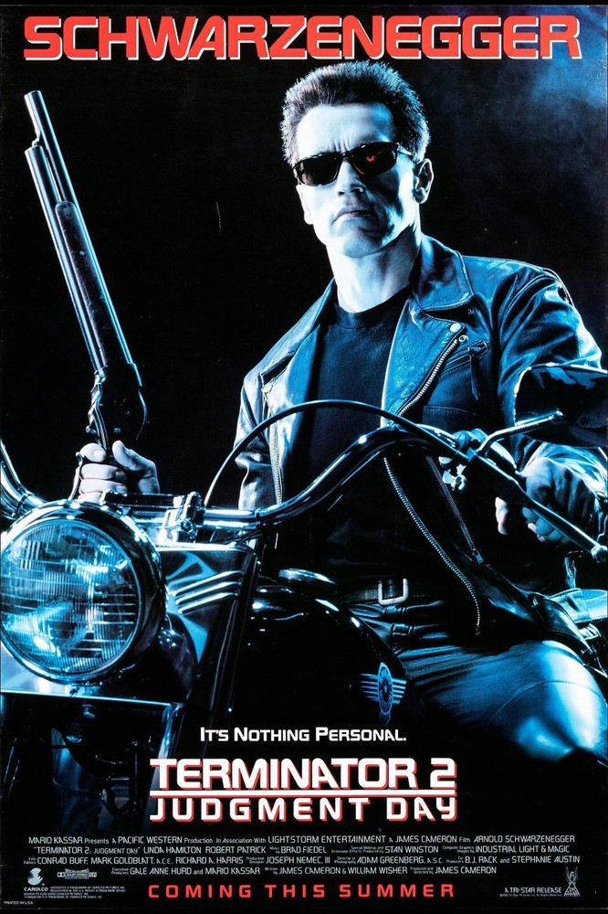 Arnold Schwarzenegger Terminator 2 Movie Poster Prints in 16x24 20x30 24x36 Sizes