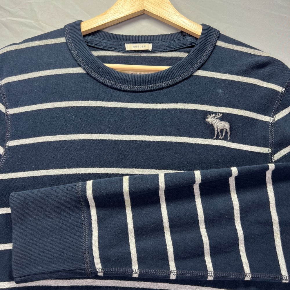 Abercrombie & Fitch Shirt Mens Large Blue Striped Muscle Moose Long Sleeve Y2K-image