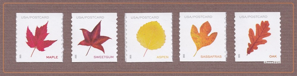 New 2025 Vibrant Leaves Postcard Rate Coil Singles Set of 5 Mint NH
