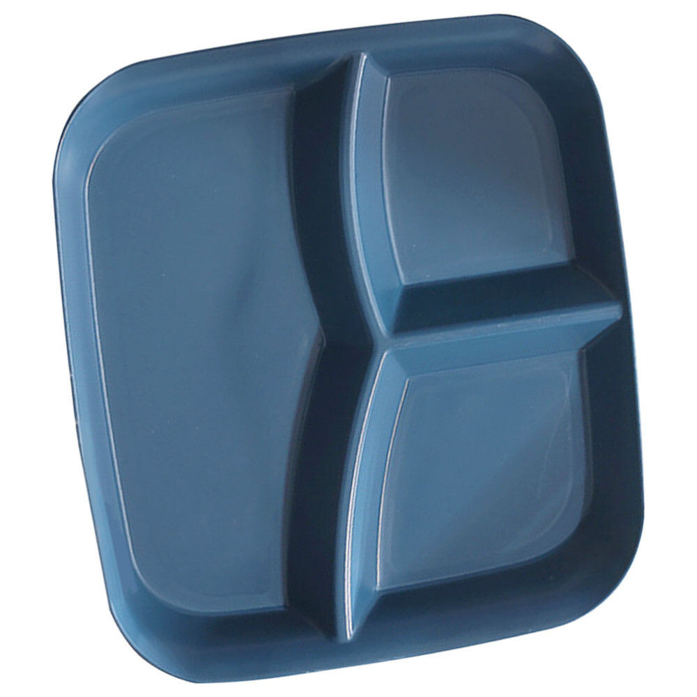 3-Section Grid Dish Plate for Fruits & Veggies Serving