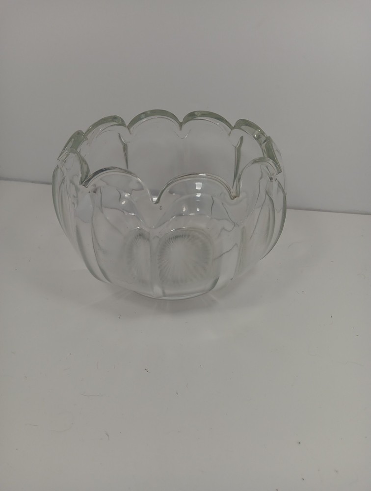 Scalloped Glass Bowl Dish Planter for Plants and Decor