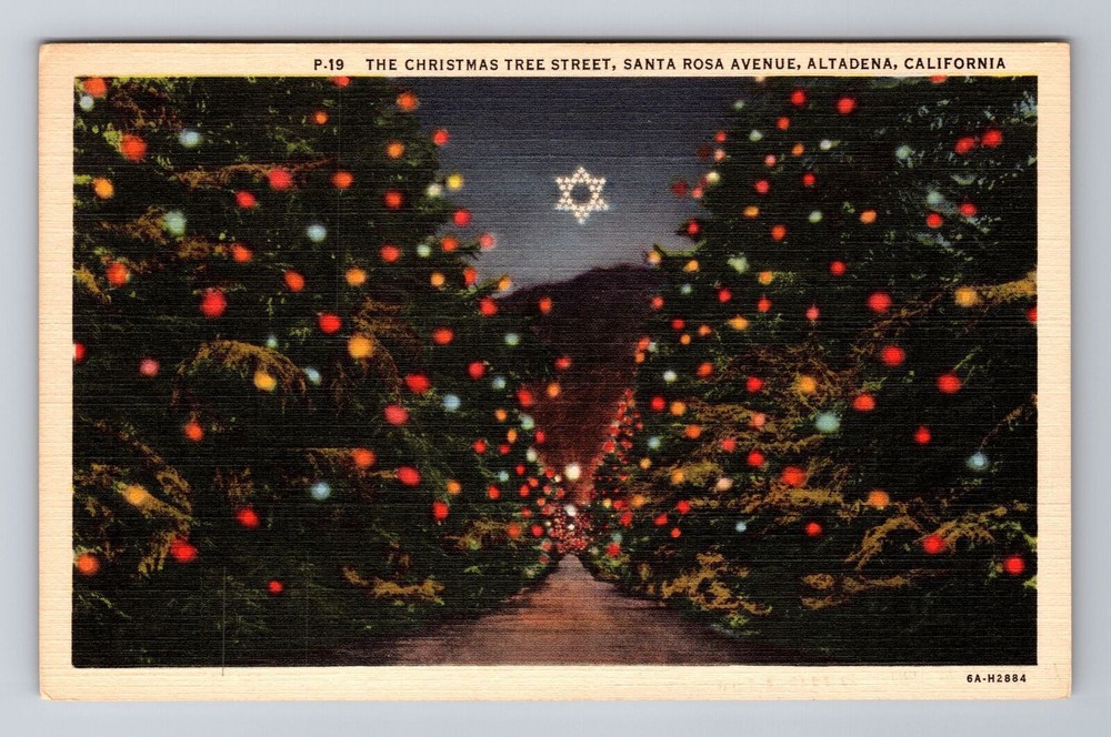 Altadena CA-California, The Christmas Tree Street At Night, Vintage Postcard