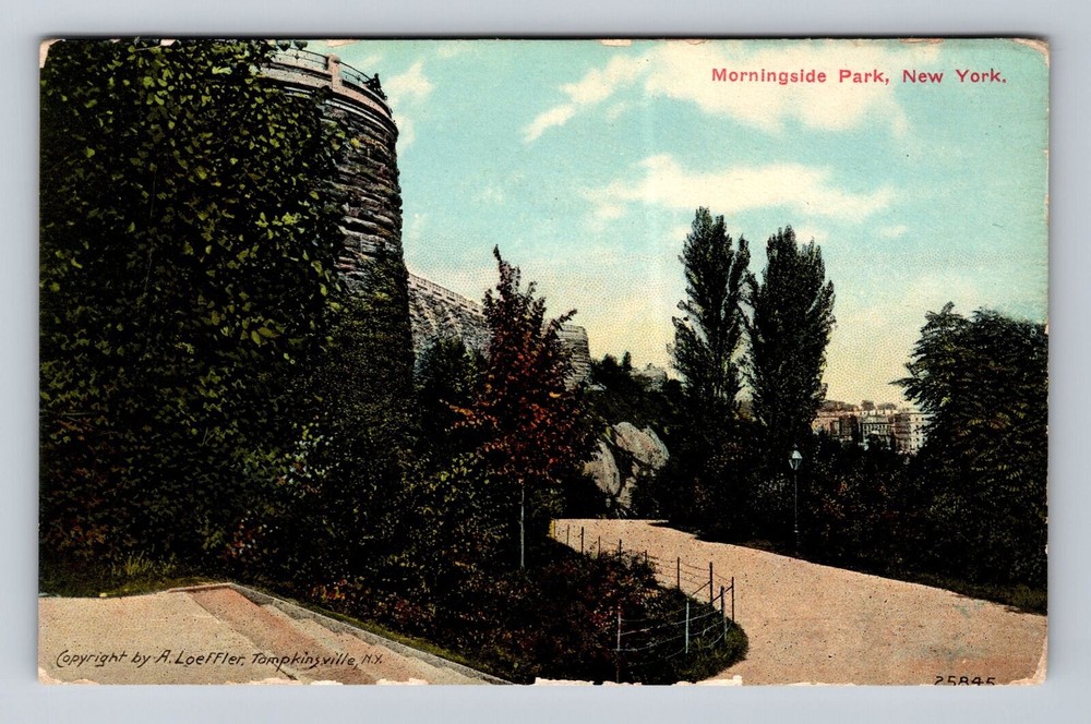 New York City NY, Morningside Park, Souvenir, Vintage Postcard