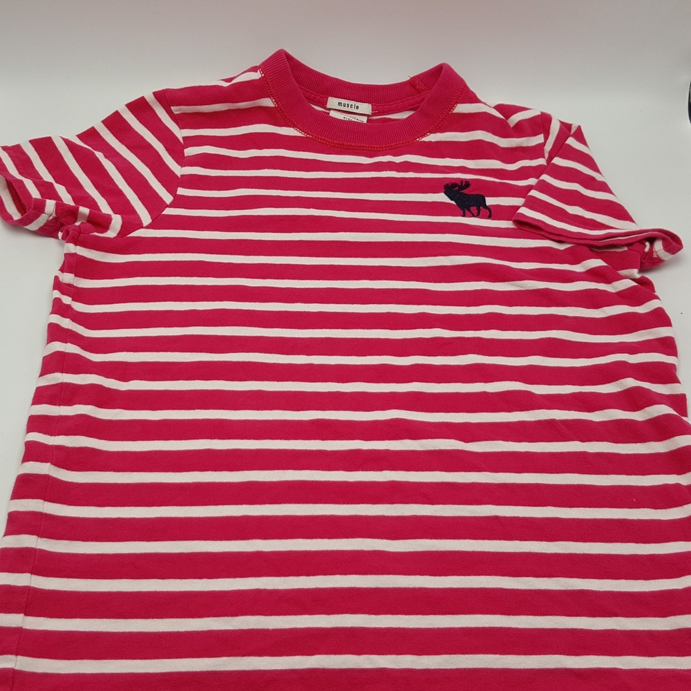 Abercrombie Kids Tshirt Boys Pink Stripe Moose L Muscle fit-image
