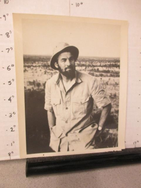 NBC 1969 The Lions Are Free starring Bill Travers from Born Free