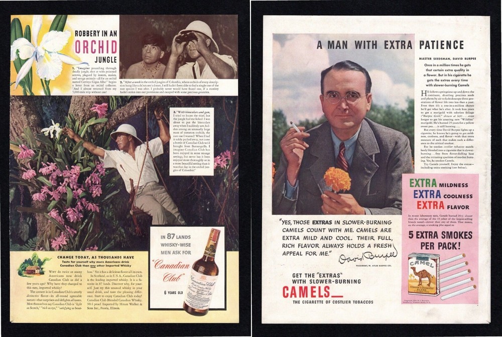 1940 Canadian Club Whisky Camel Cigarettes David Burpee Life Magazine Print Ad
