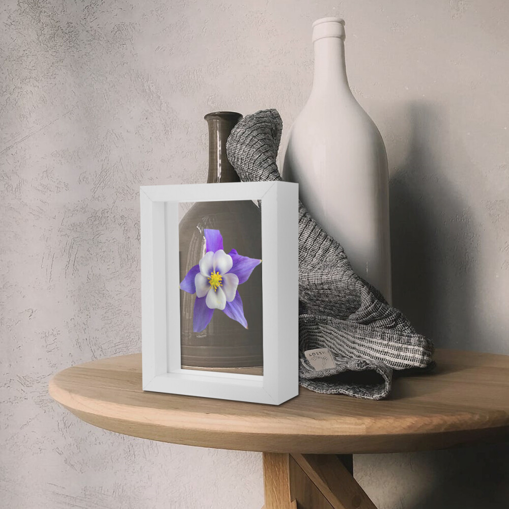 Specimen Frame Vintage Wall Picture Frames Picture Stand Frame