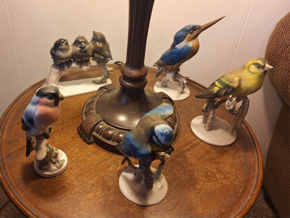 (5) 1950's ROSENTHAL Handgemalt Germany Porcelain Bird Figurines