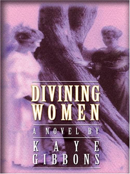 Divining Women Hardcover