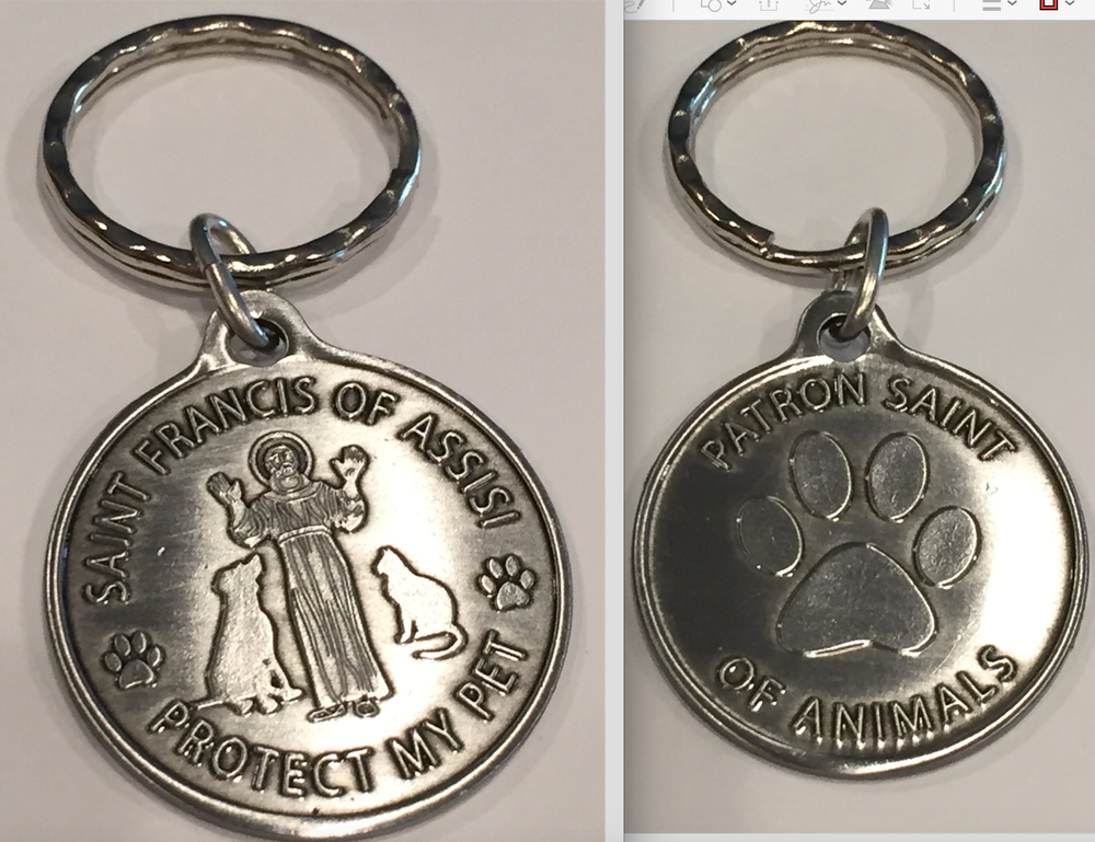 Saint Francis of Assisi Protect My Pet Key Chain Dog Pewter Color Patron Saint O