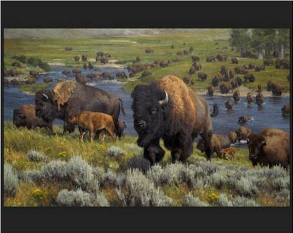 Buffalo An American Migration Quilt Top Wall Hanging Panel Fabric