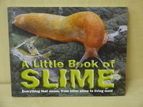 Discover Fun with A Little Book of Slime Experiments