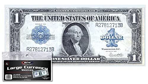 Large Bill Currency Topload Holder - Pack of 100 | Clear Rigid PVC, Archival