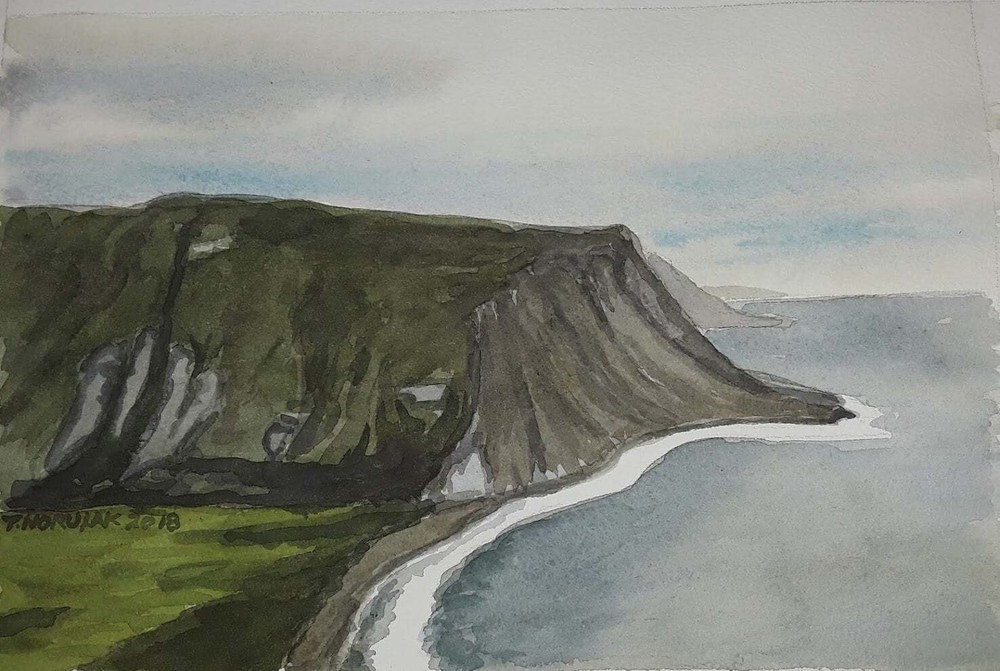 Waipio Valley original watercolor of Big Island, Hawai'i 2018 Framed