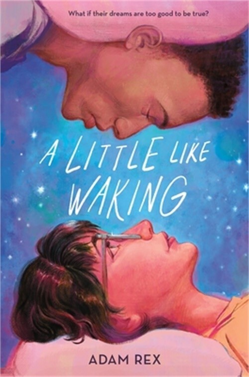 Discover A Little Like Waking in Paperback or Softback Format