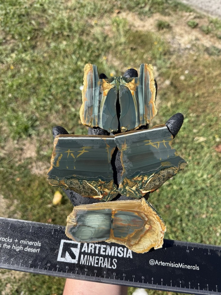 AAA Grade Blue Mountain Picture Jasper Butterfly Slab Pair Rare Old Stock-image