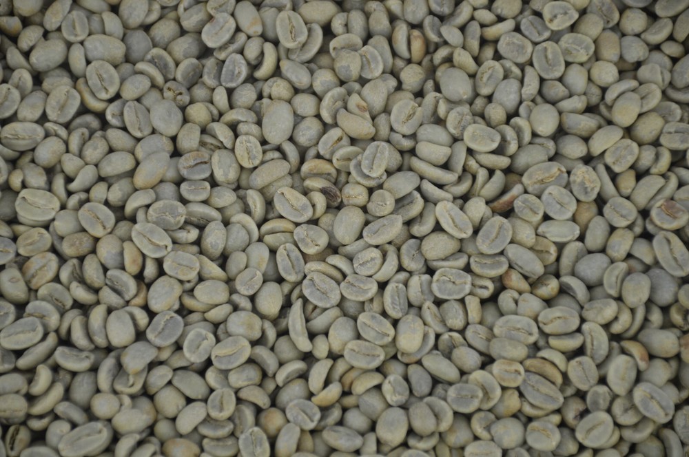 Puebla, Mexico, High Altitude, Unroasted Arabica Coffee Beans, 5lb, 2024 Crop