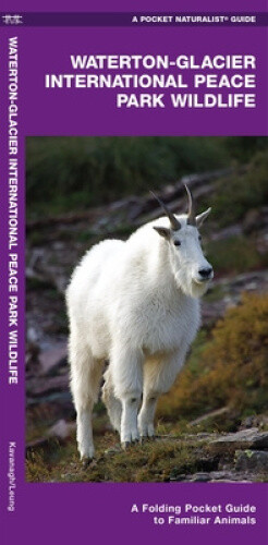 Explore Glacier National Park's Wildlife with a Compact Species Guide