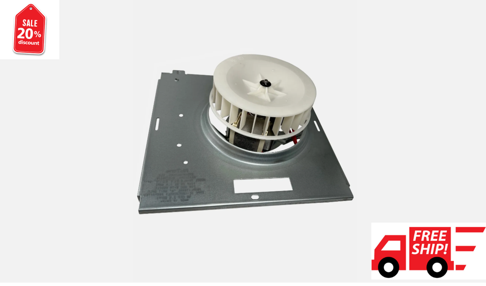 Motor Assembly for Models 769RL, 769RL-R01, 769RFT-R01S0504B000