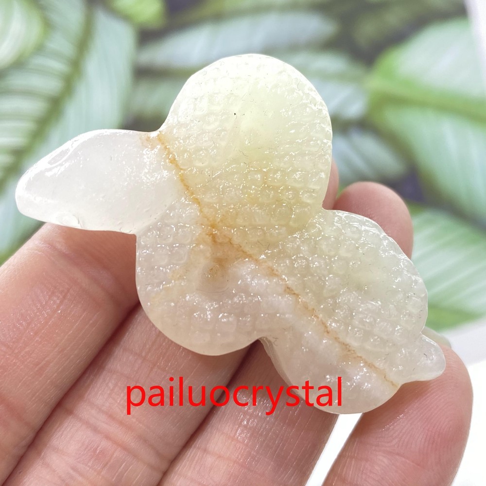 1pc Natural Afghan jade Snake Skull Quartz Crystal Skull Carved Figurines Gem 2