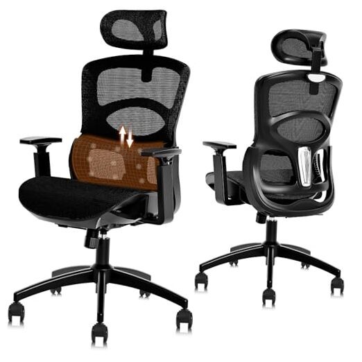 Ergonomic Office Chair, High-Back Desk Chairs with Carbon Black Mesh mesh seat