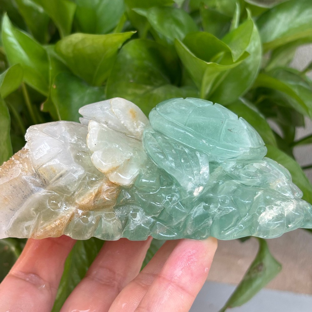650g Natural Fluorite Crystal original stone hand carved Tortoise